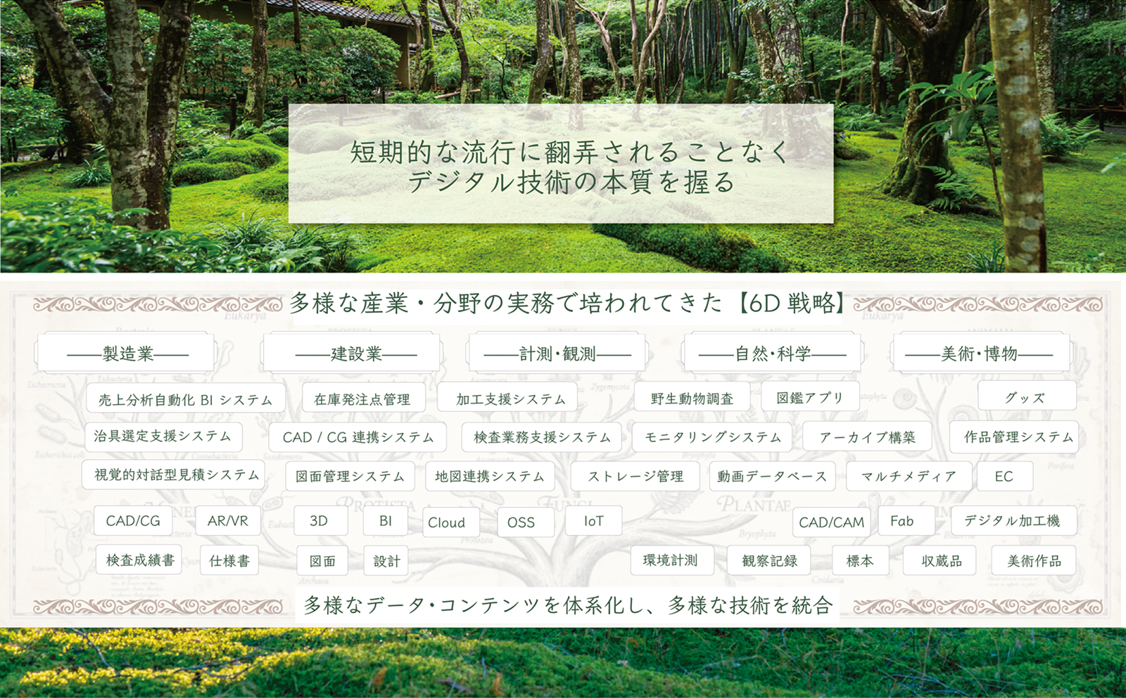 6D戦略の実践実績。製造業（売上分析BI・治具選定支援・視覚的見積・加工支援）、建設業（在庫管理・CAD/CG連携・図面管理）、計測・観測（検査業務支援・地図連携・モニタリング）、自然・科学（野生動物調査・観察記録・ストレージ管理）、美術・博物（図鑑アプリ・アーカイブ・作品収蔵品管理・グッズEC）。関連技術：CAD/CG・AR/VR・3D・BI・Cloud・OSS・IoT・CAD/CAM・3Dプリンタ・CNC・デジタル加工機。